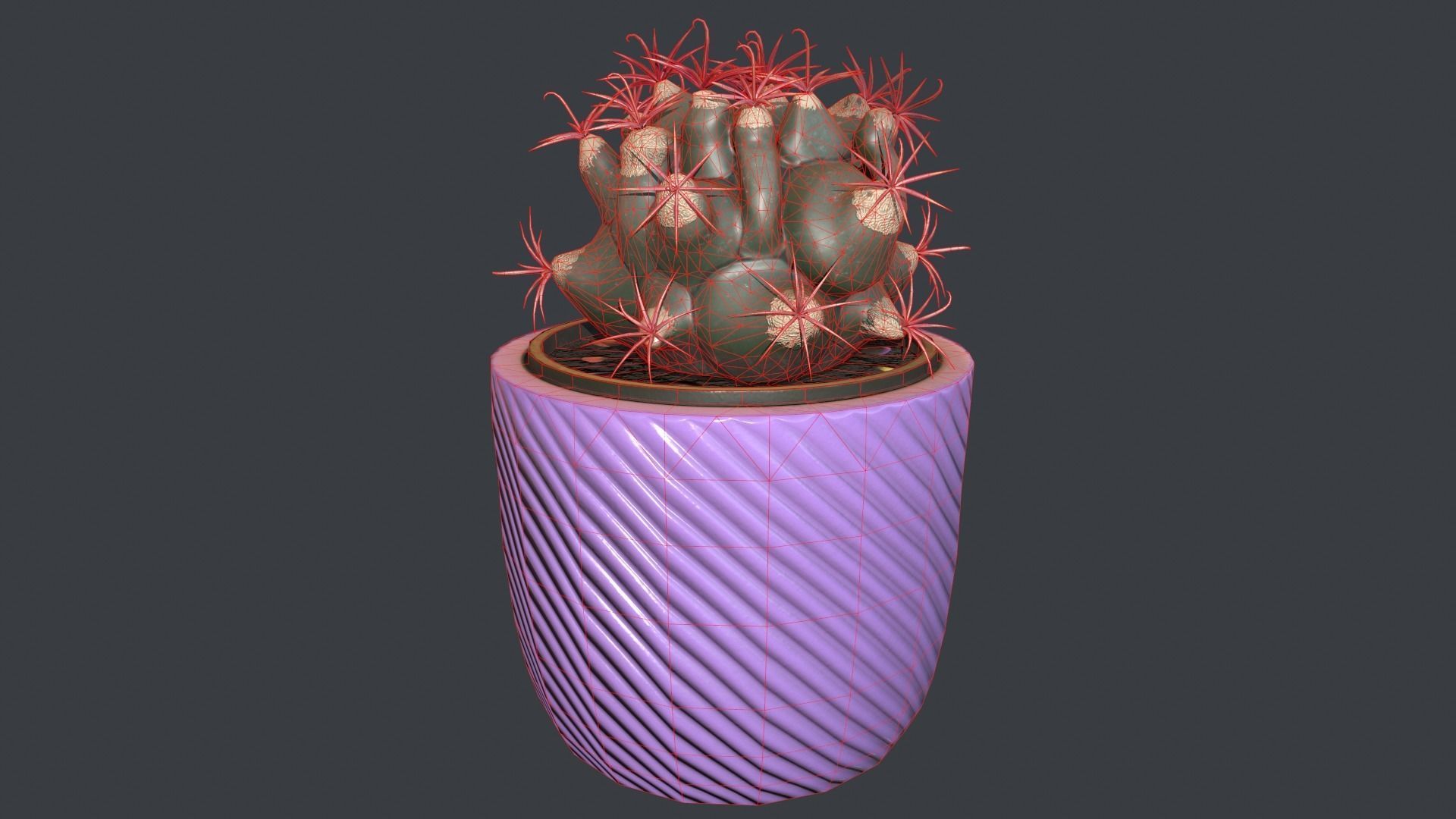 Ferocactus emori Low-poly 3D model_4