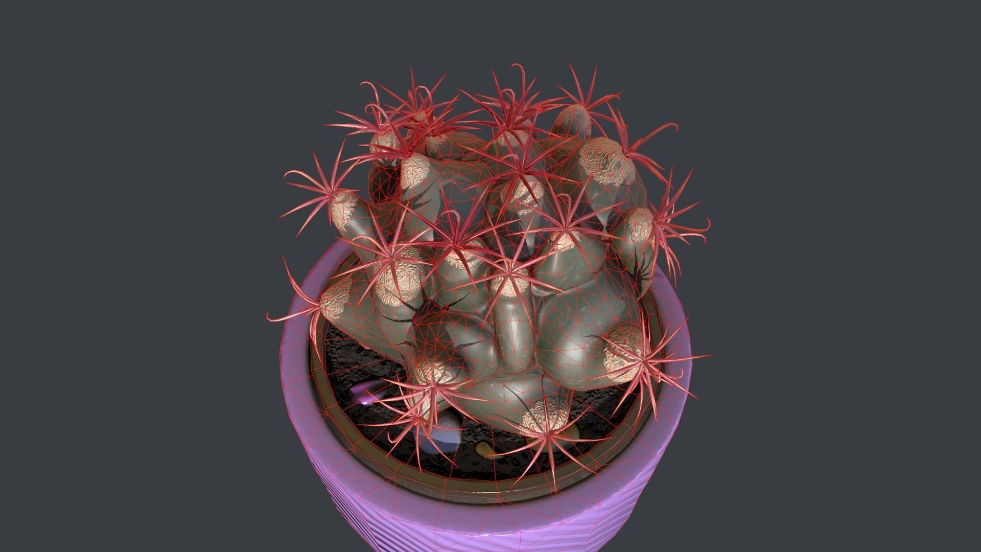 Ferocactus emori Low-poly 3D model_5