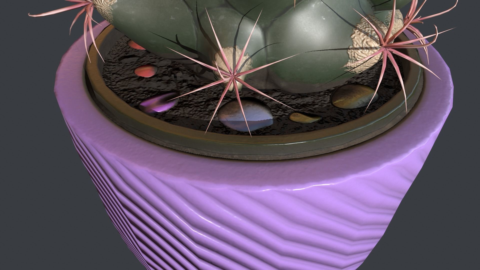 Ferocactus emori Low-poly 3D model_3