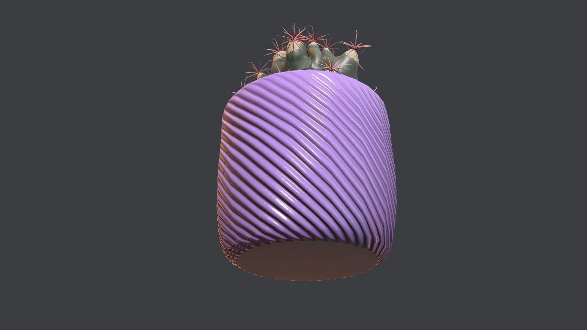 Ferocactus emori Low-poly 3D model_2