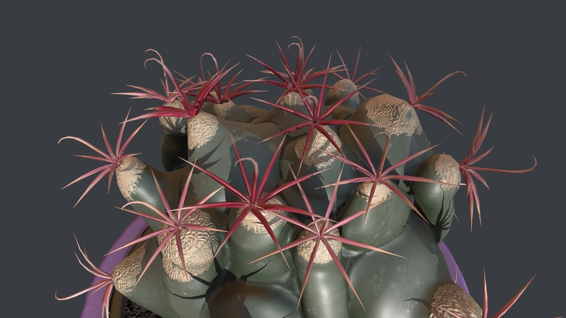 Ferocactus emori Low-poly 3D model_1