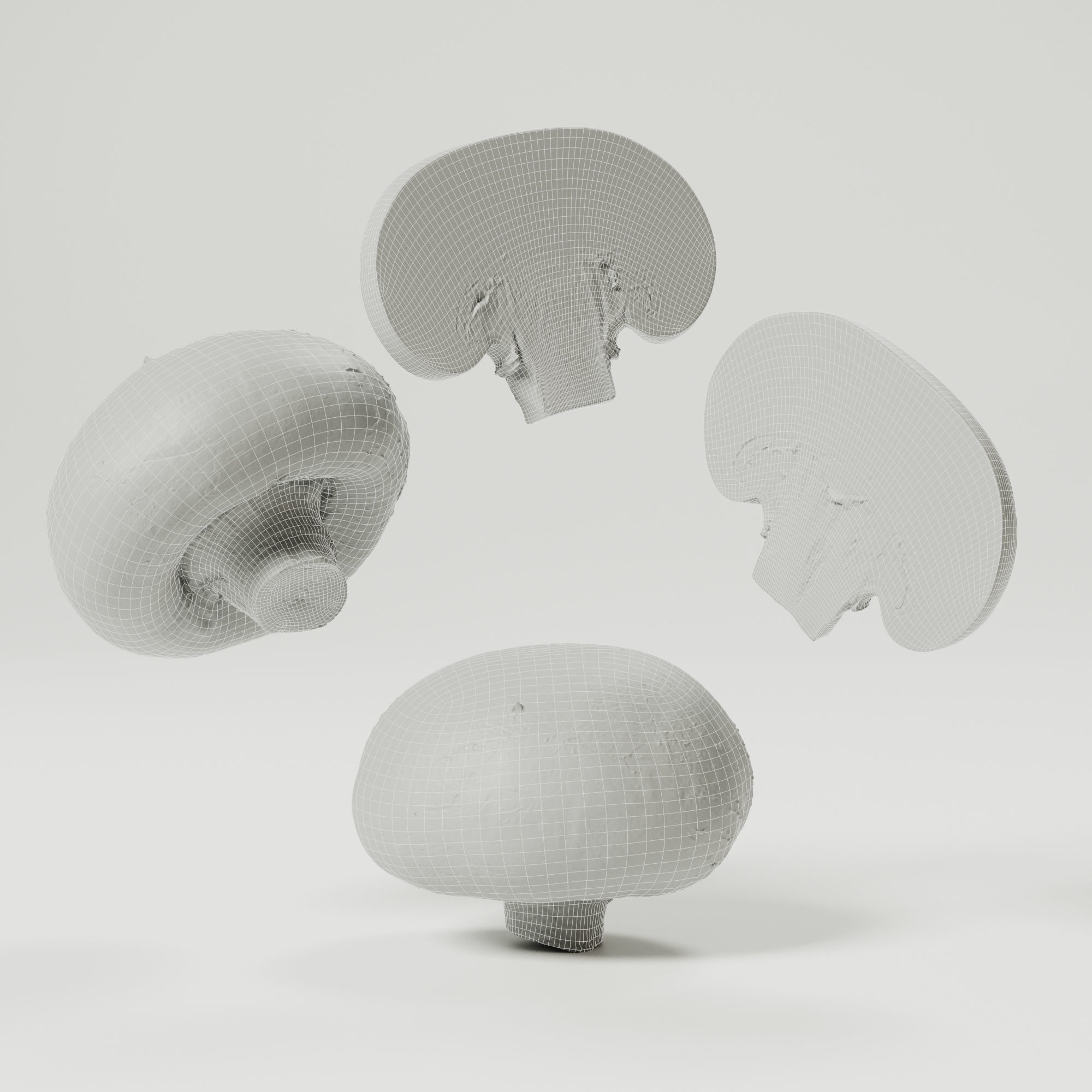 Champignon - Mushroom Full-Slice 3D model_2