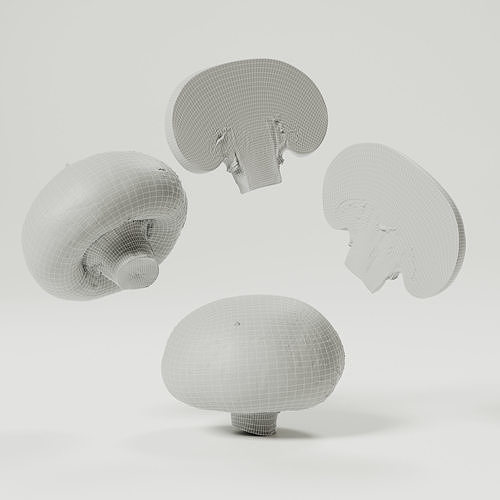 Champignon - Mushroom Full-Slice 3D model 3