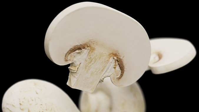 Champignon - Mushroom Full-Slice 3D model 6