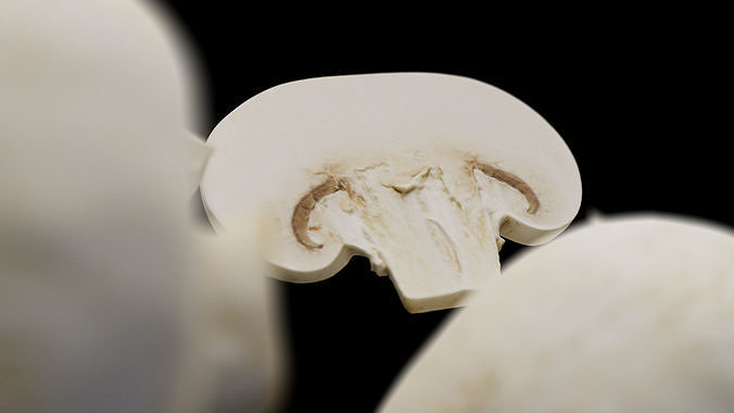 Champignon - Mushroom Full-Slice 3D model 7