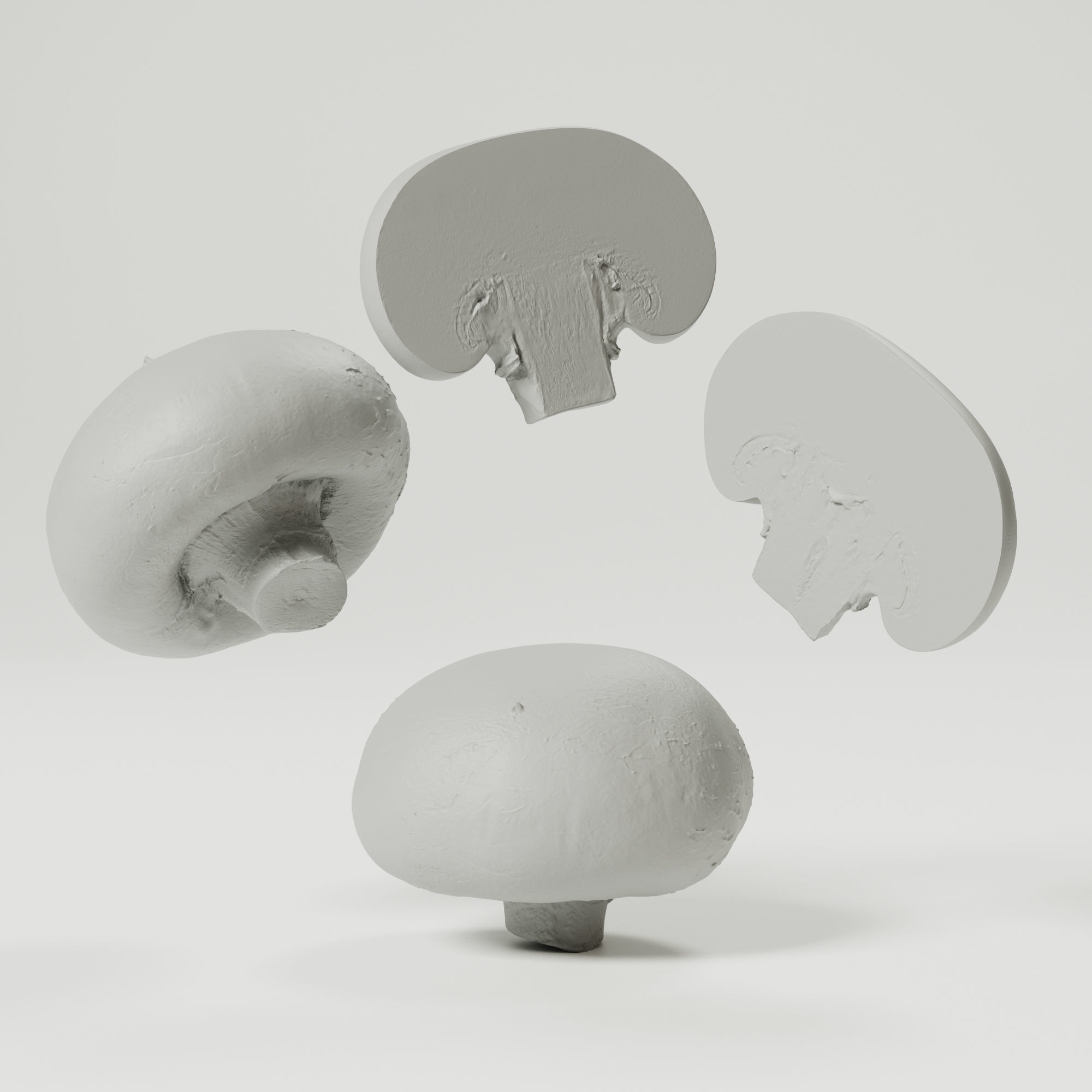 Champignon - Mushroom Full-Slice 3D model_1