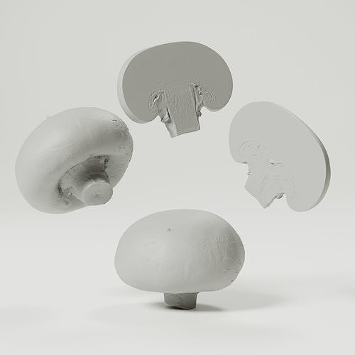 Champignon - Mushroom Full-Slice 3D model 2