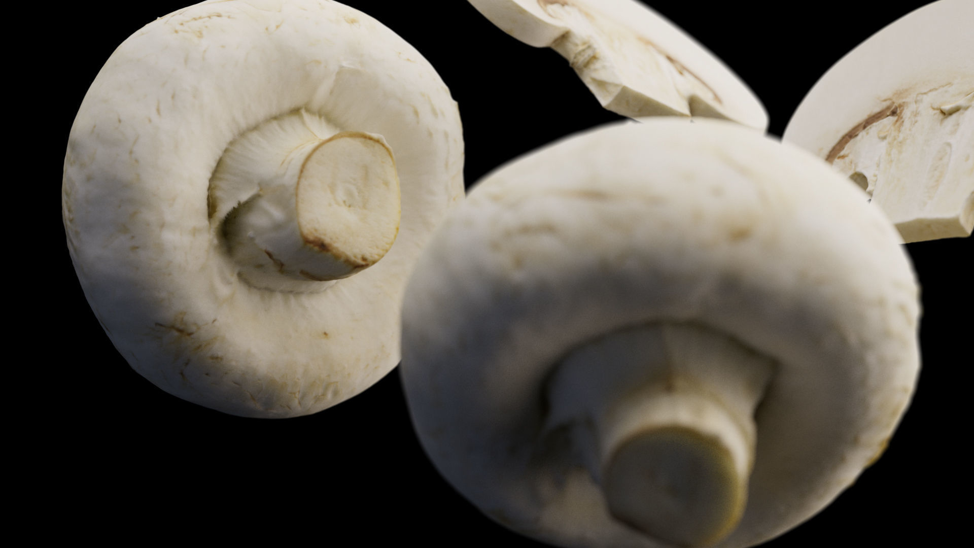 Champignon - Mushroom Full-Slice 3D model_4