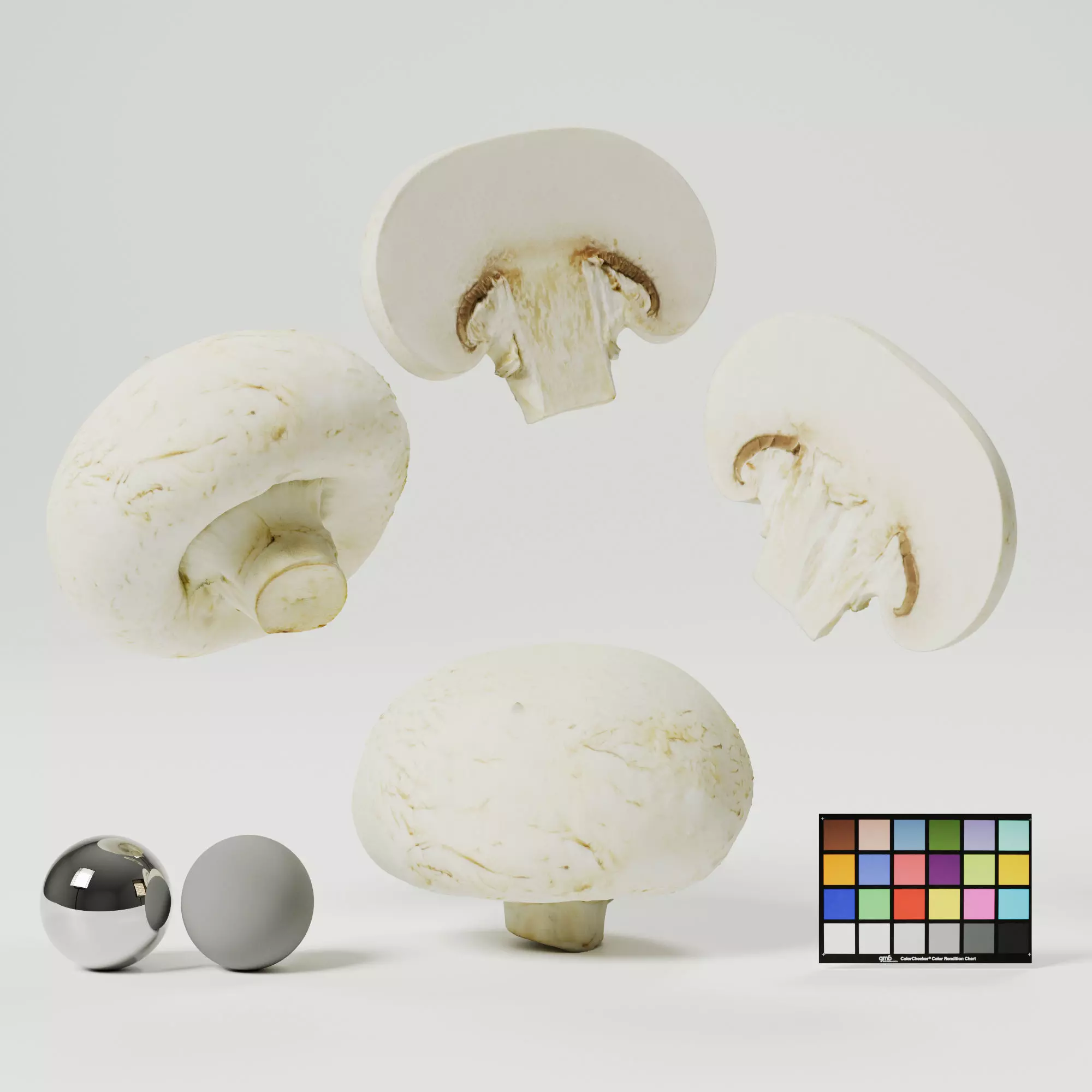 Champignon - Mushroom Full-Slice 3D model_0