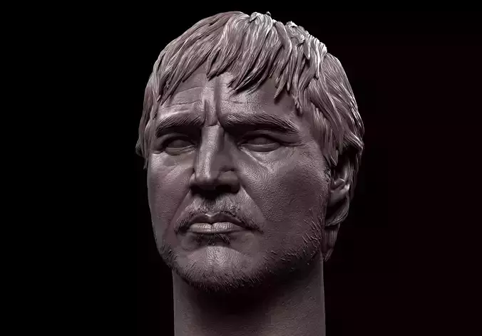 Din Djarin- Pedro Pascal Head 3D print model