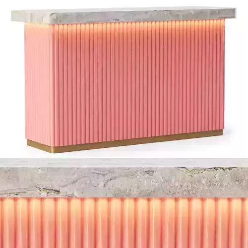 Camila reception counter 