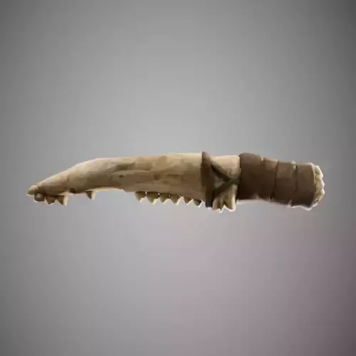 Bone Knife