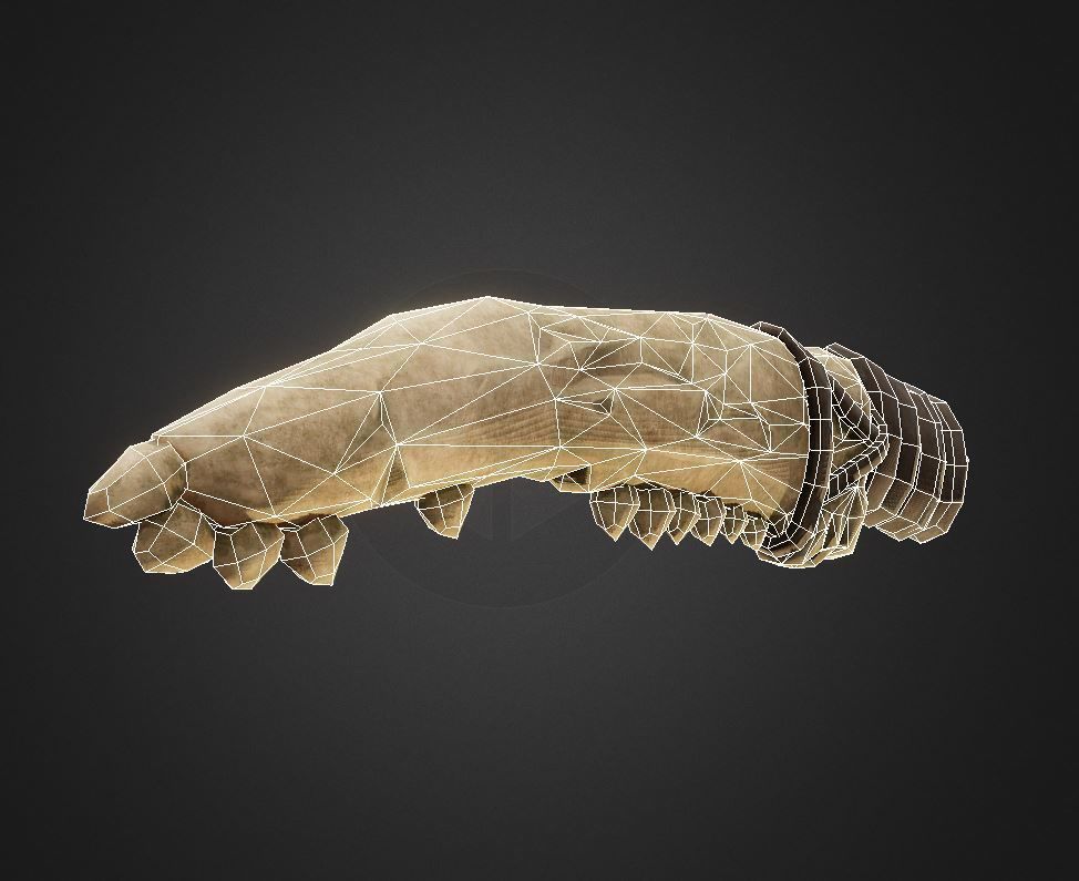 Bone Knife Low-poly 3D model_13