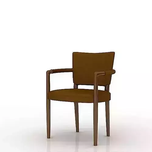 Brown Padded Chair