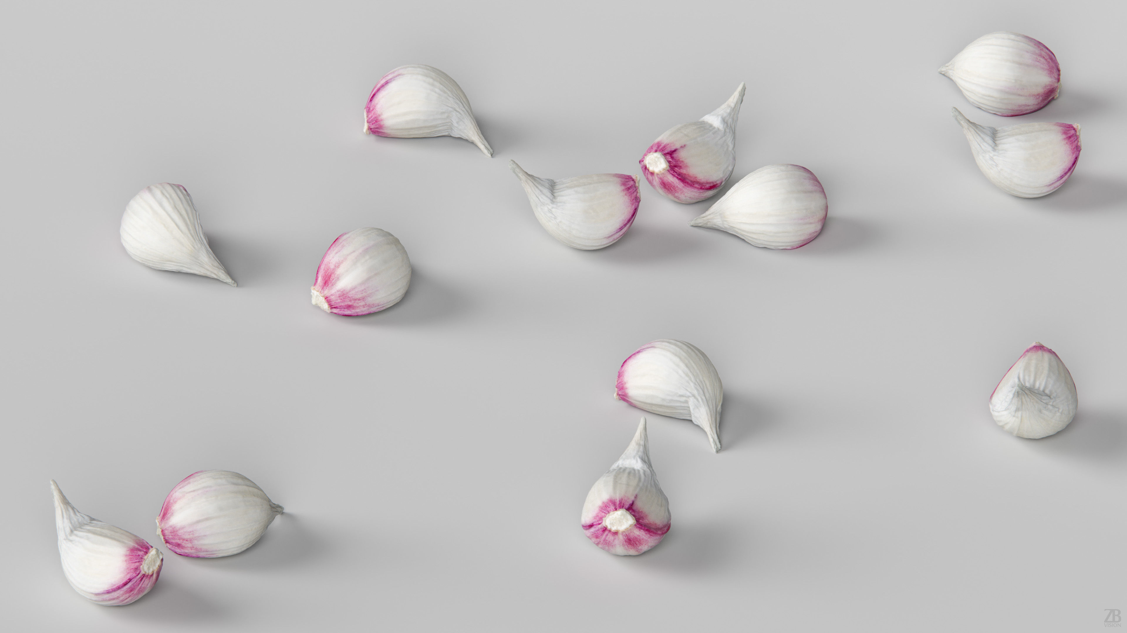 Garlic 3D model_2