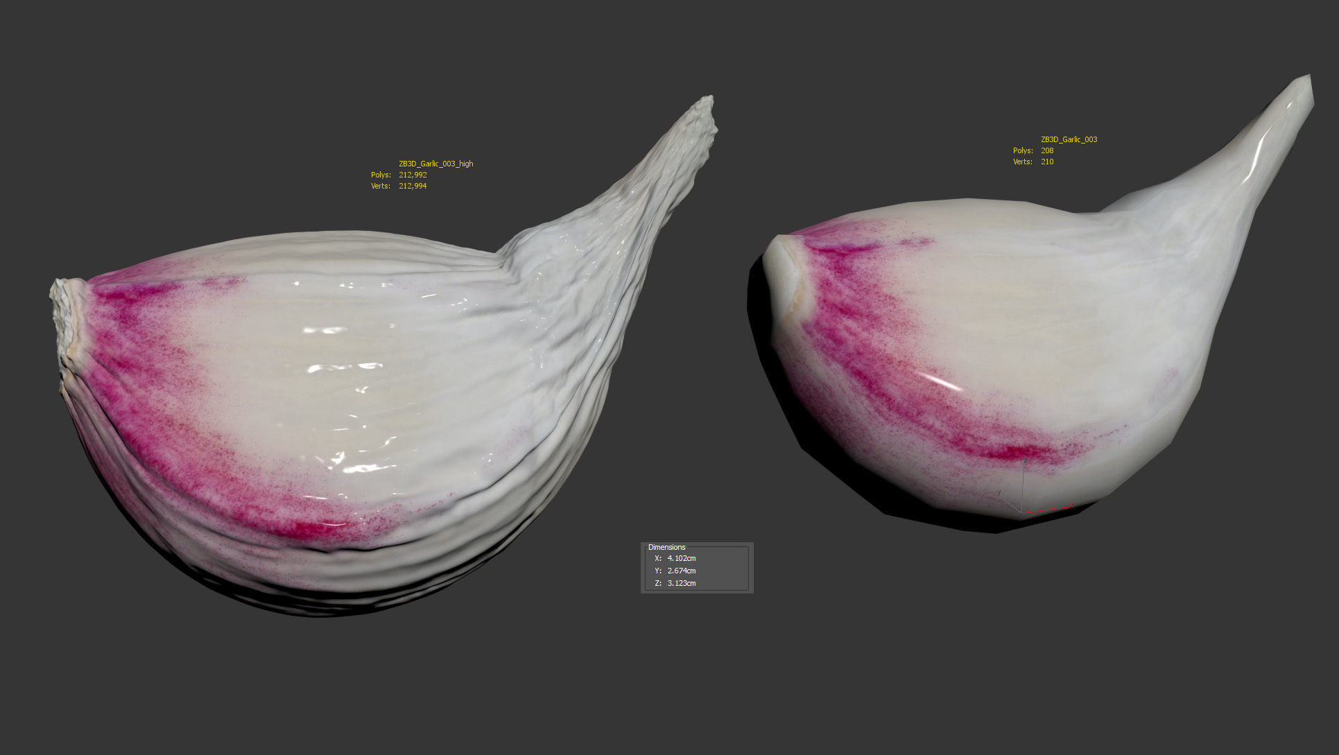 Garlic 3D model_9