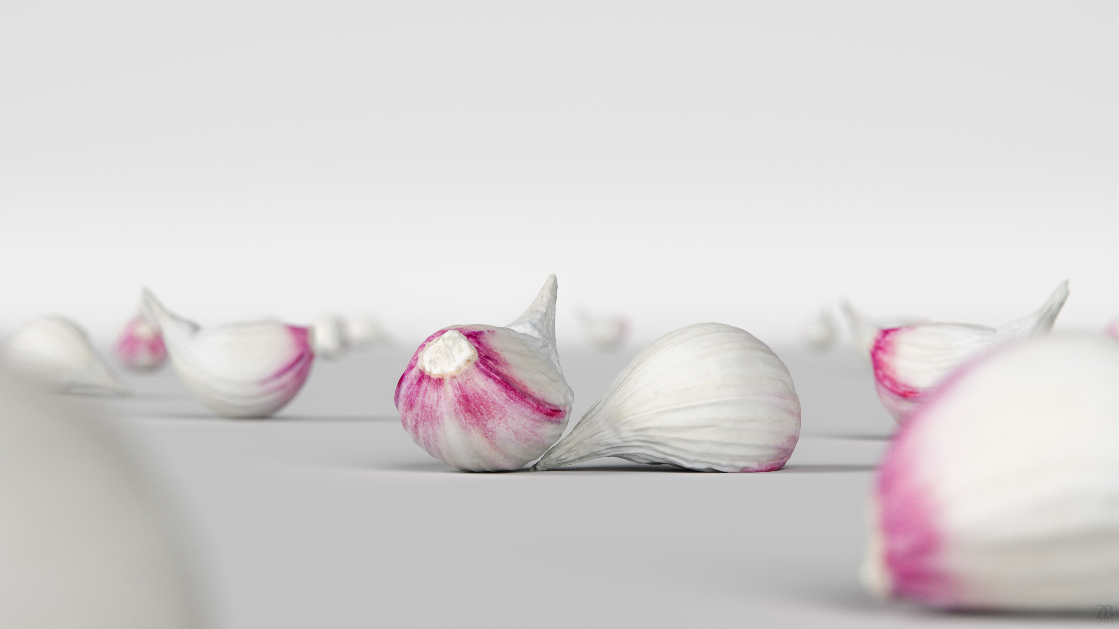 Garlic 3D model_1