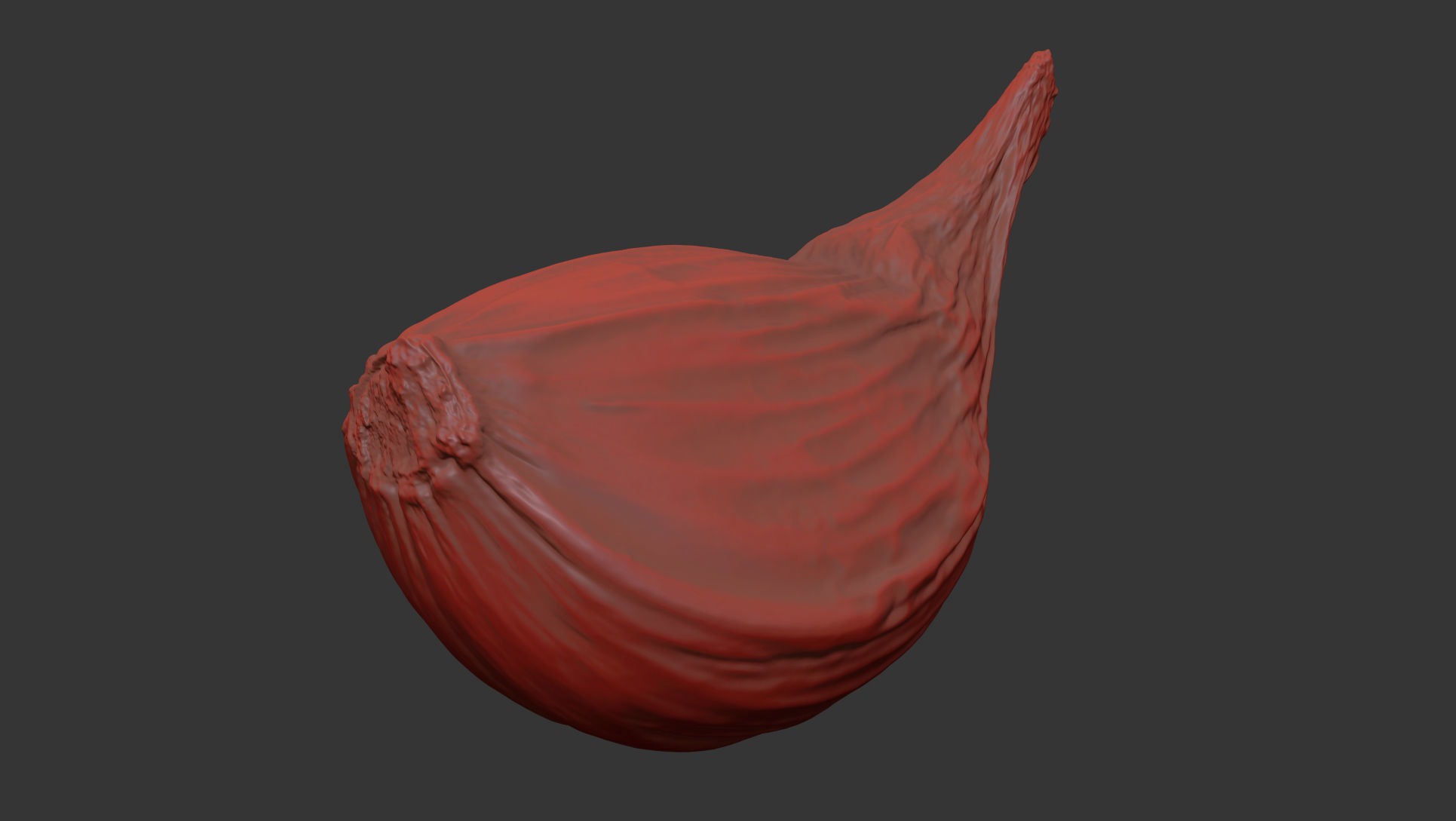 Garlic 3D model_11