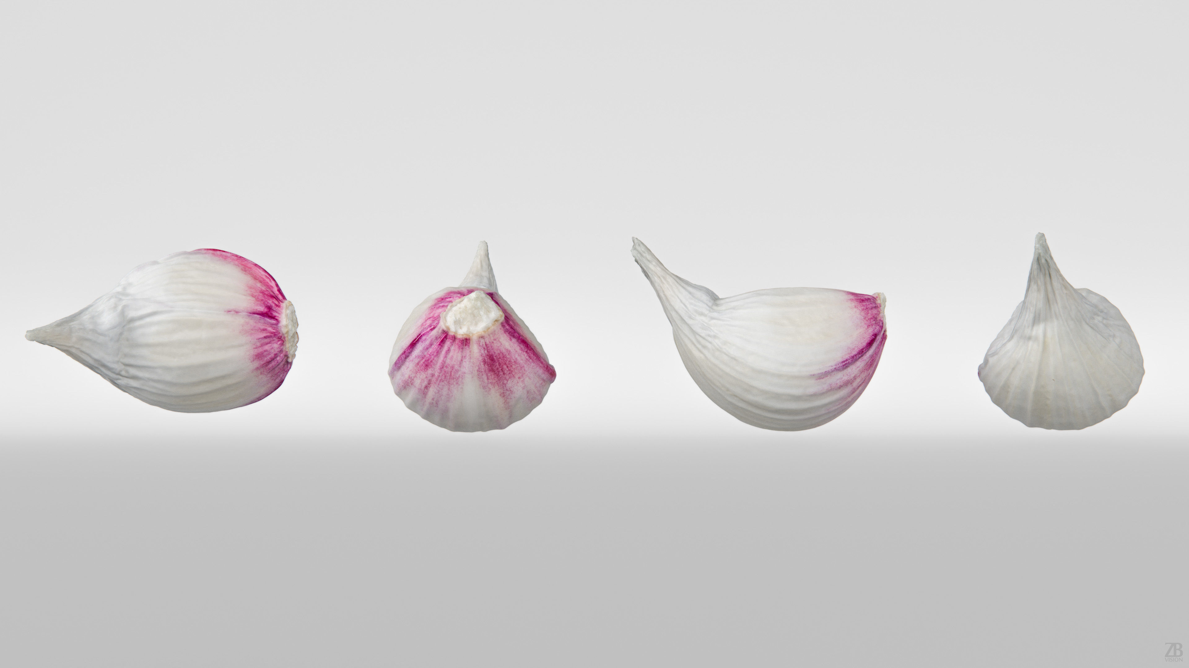 Garlic 3D model_4