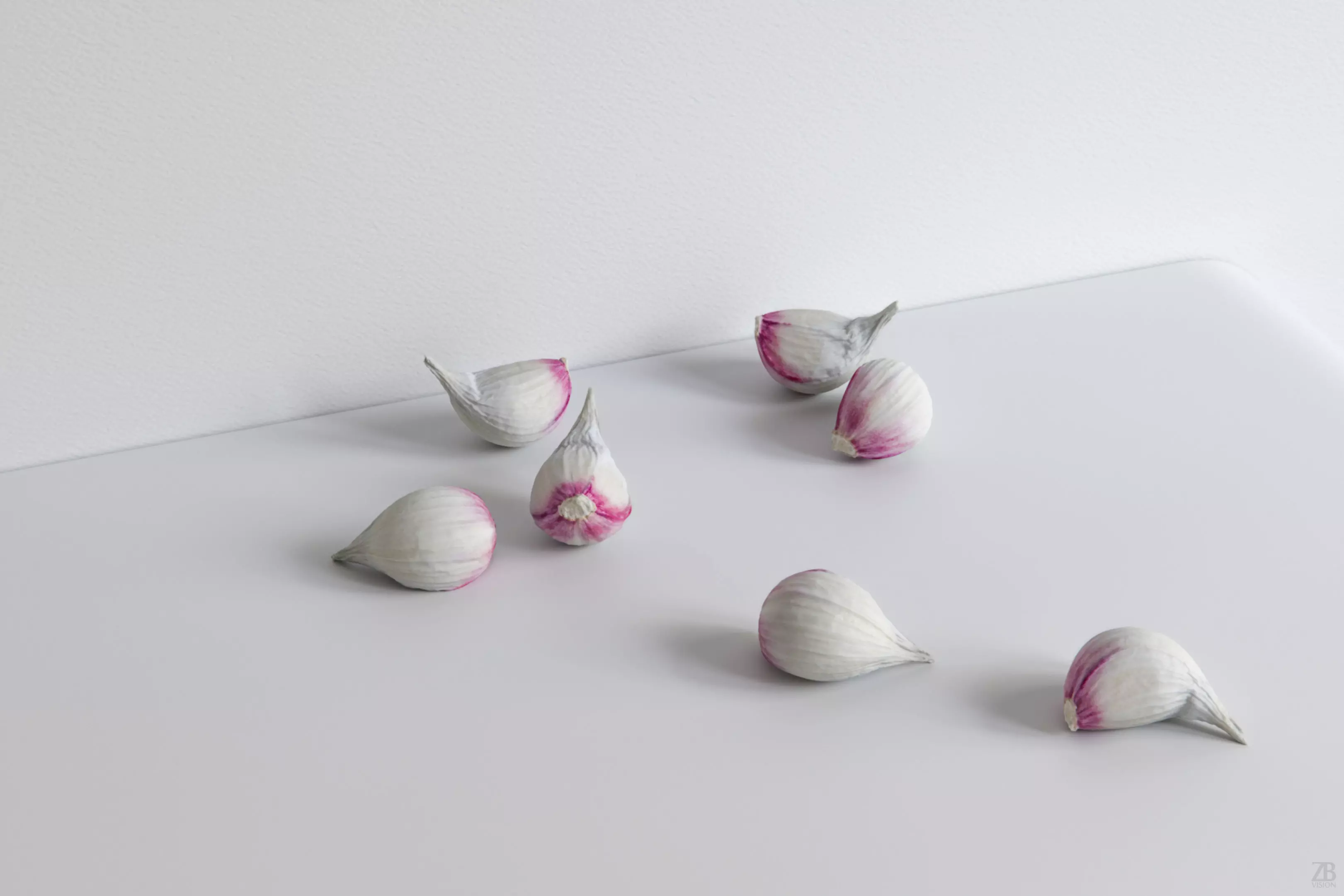 Garlic 3D model_0