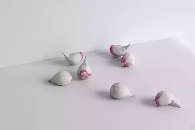 Garlic 3D model