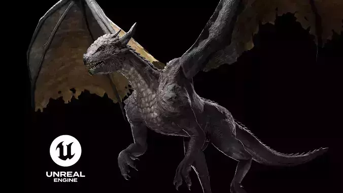 Fantasy Dragon Low-poly 3D model