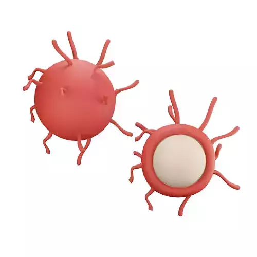 Rambutan two blood cells Low-poly 3D model