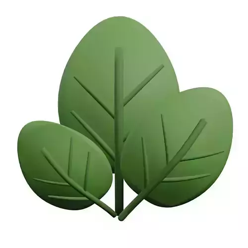 Spinach leaf icon Low-poly 3D model