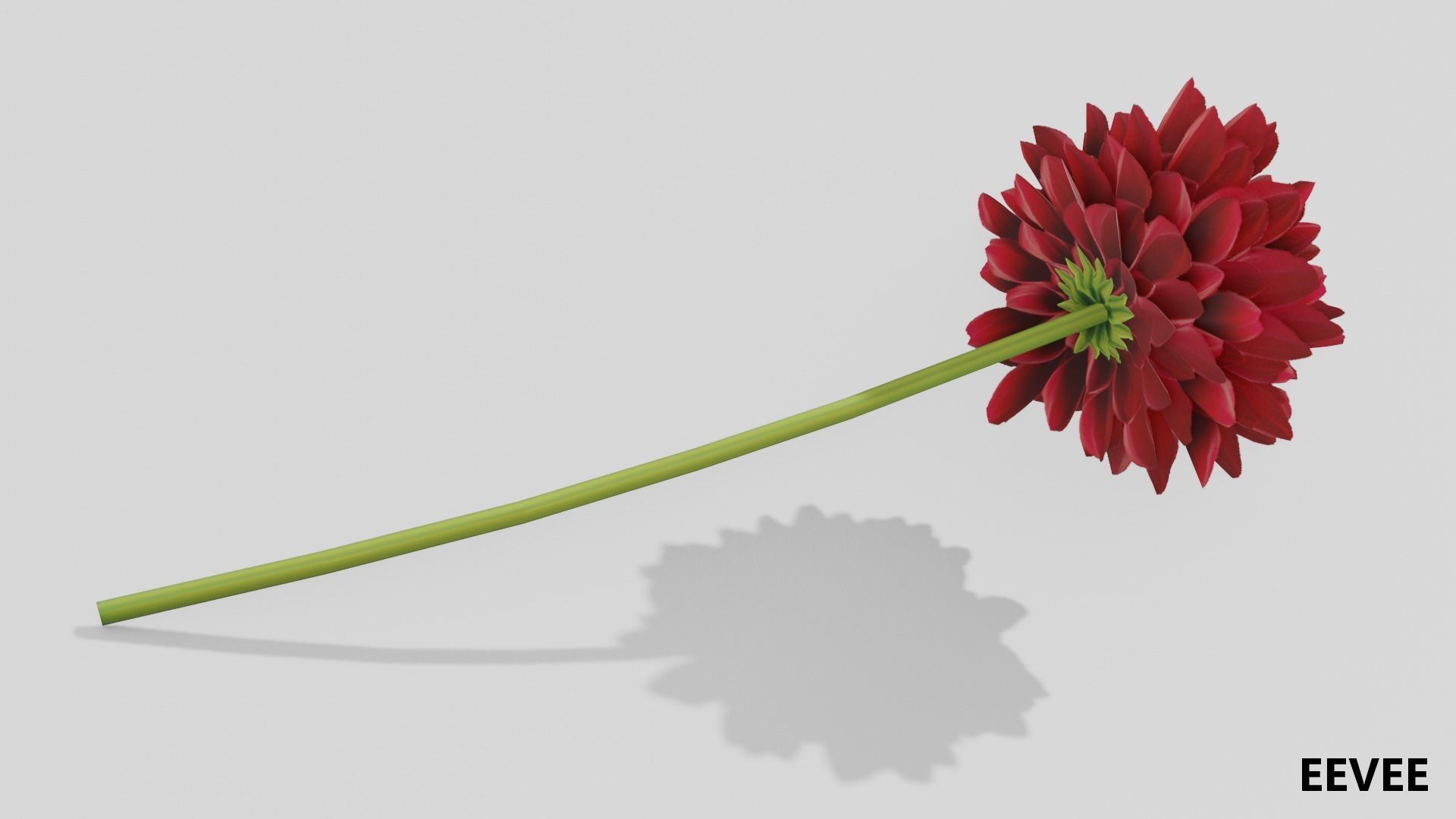 Dhalia - Low Poly dahlia Low-poly 3D model_4