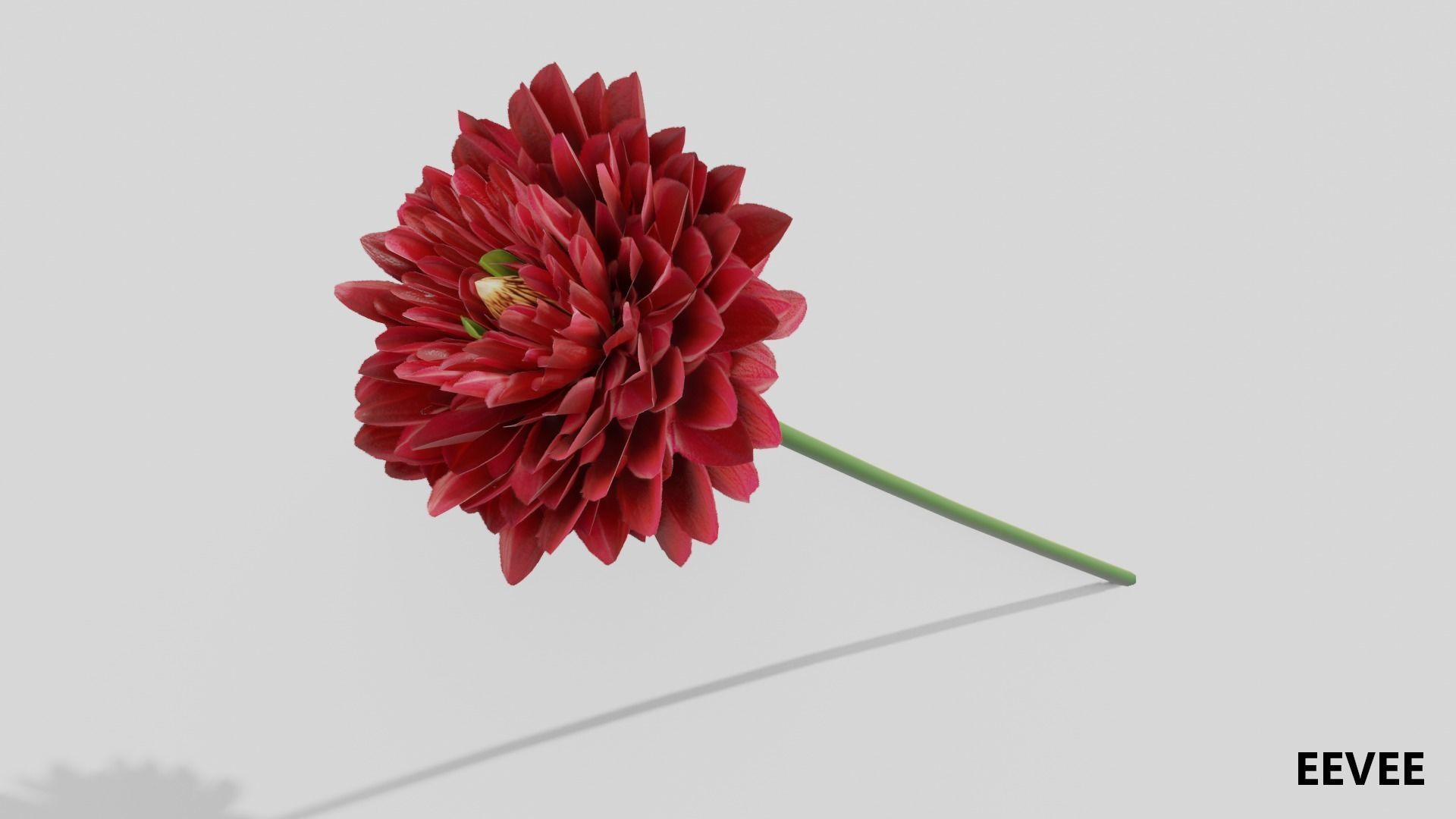 Dhalia - Low Poly dahlia Low-poly 3D model_2