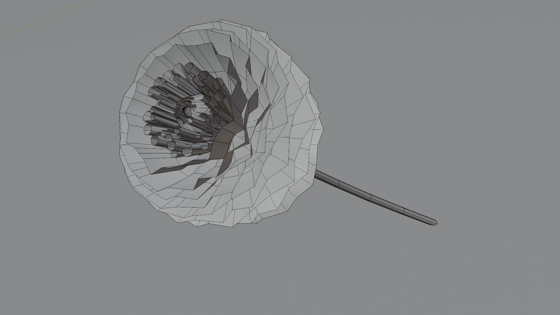 Dhalia - Low Poly dahlia Low-poly 3D model_5