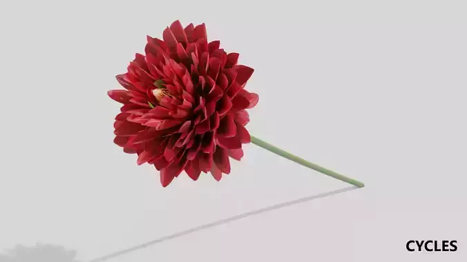 Dhalia - Low Poly dahlia