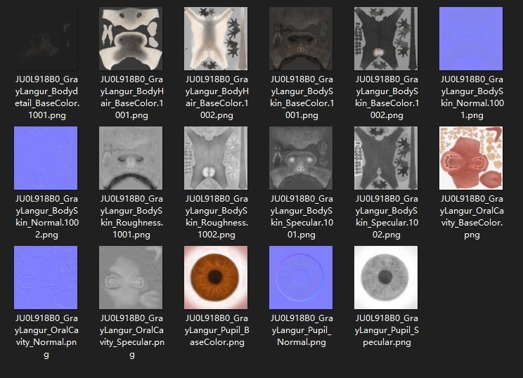 Gray langur Animated VFX Grace 3D model_22