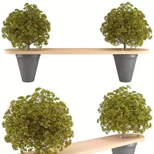 Bench plants 3D model