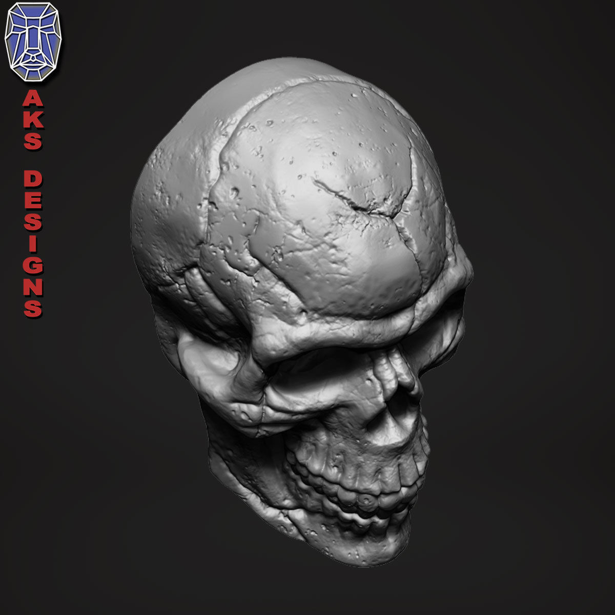Skull version 1 Bas relief for cnc 3D print model_6