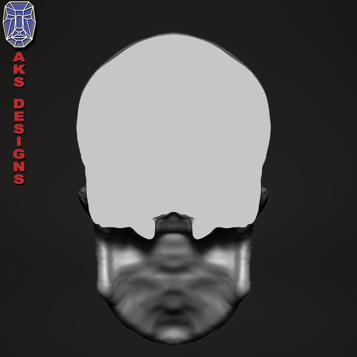 Skull version 1 Bas relief for cnc 3D print model_4