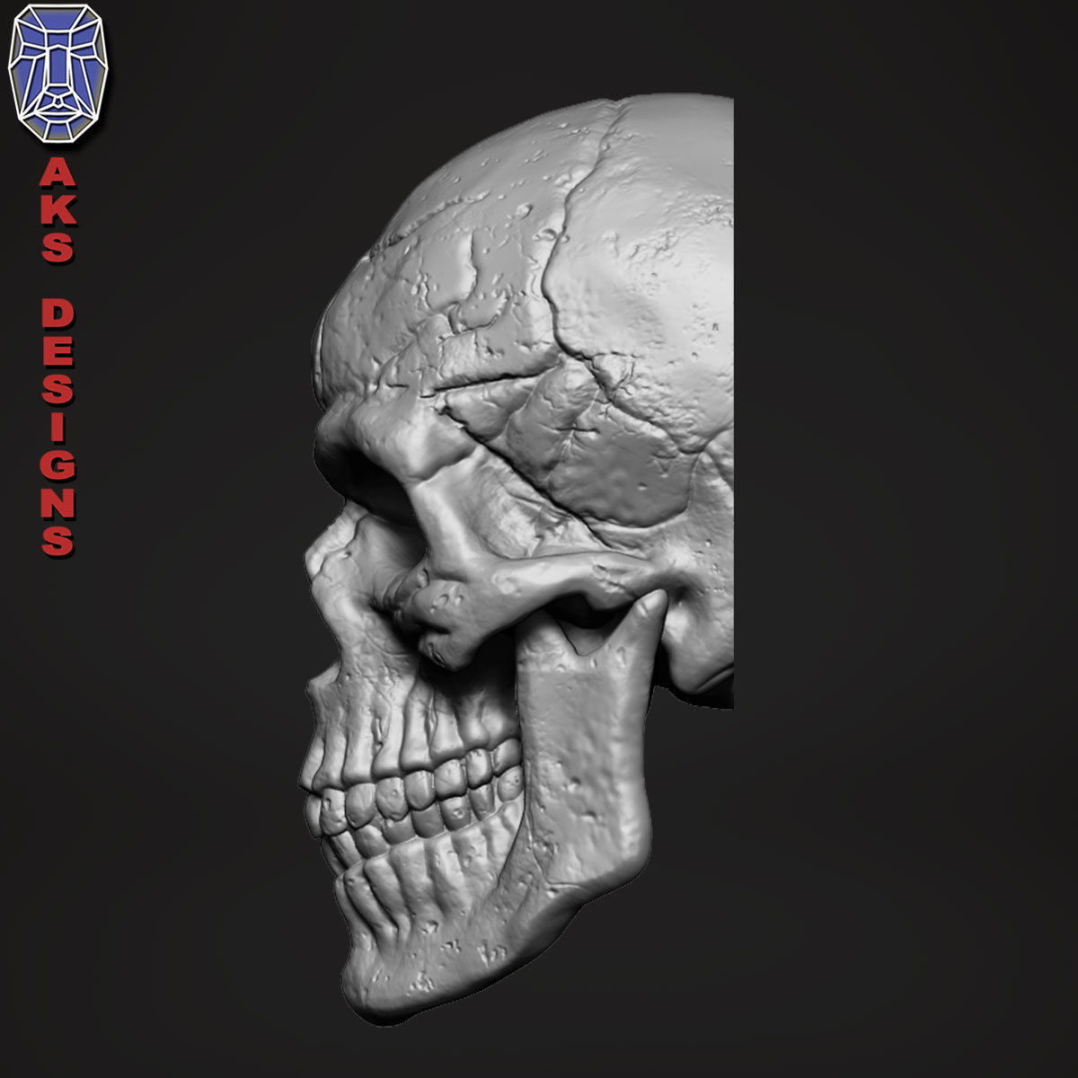 Skull version 1 Bas relief for cnc 3D print model_2