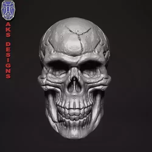 Skull version 1 Bas relief for cnc 3D print model