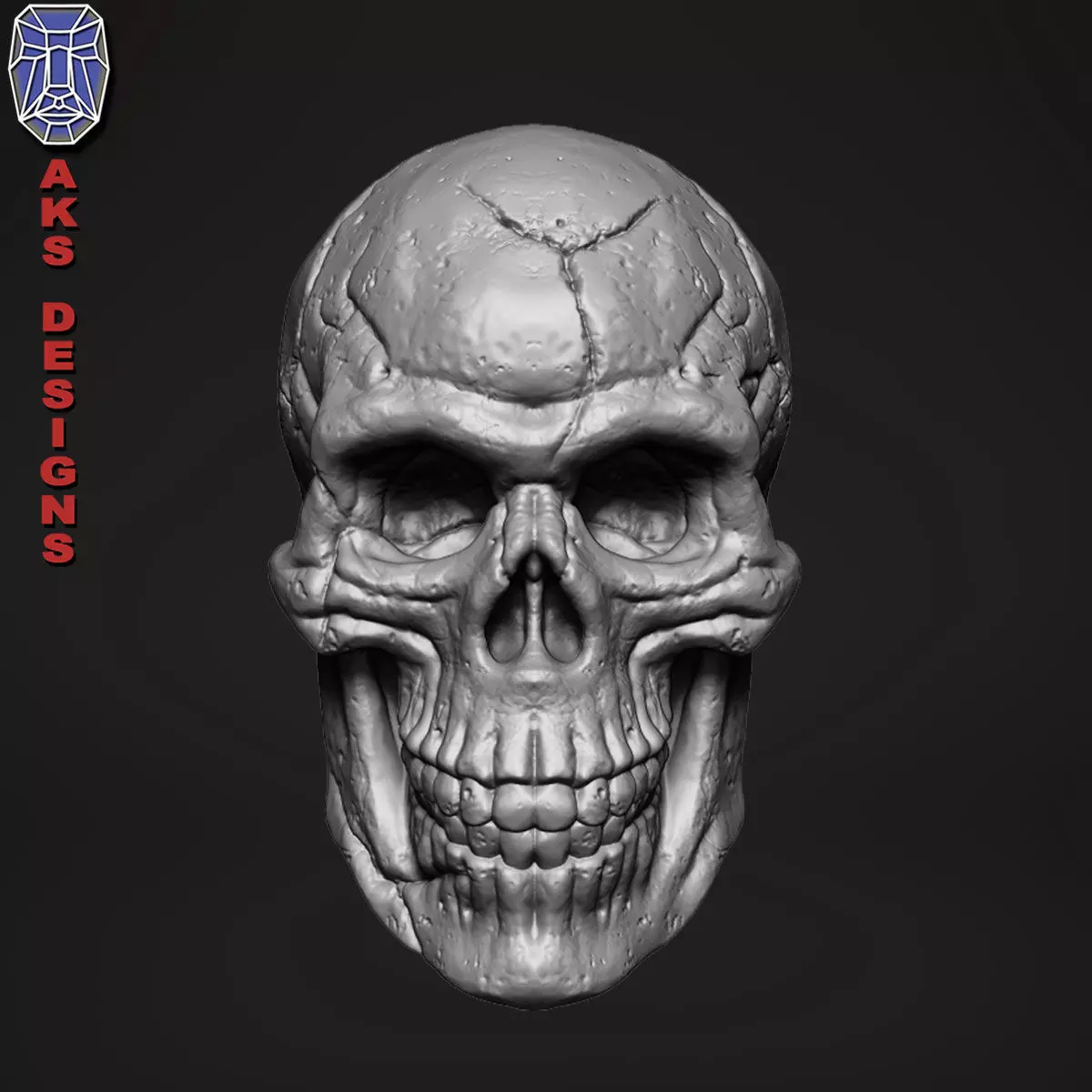 Skull version 1 Bas relief for cnc 3D print model_0