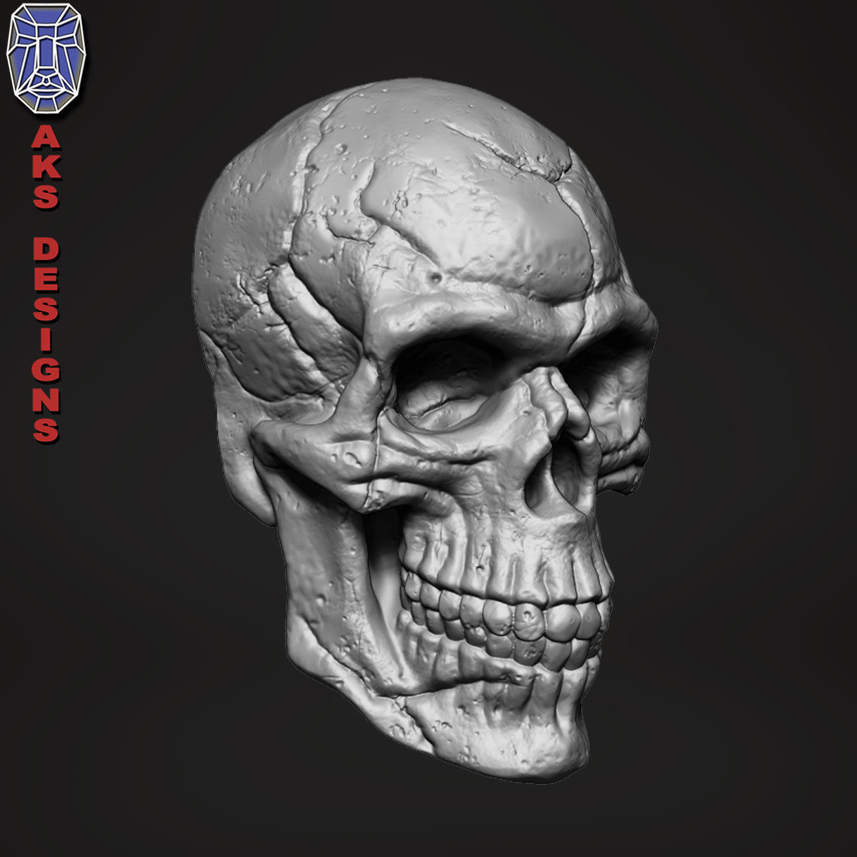 Skull version 1 Bas relief for cnc 3D print model_5