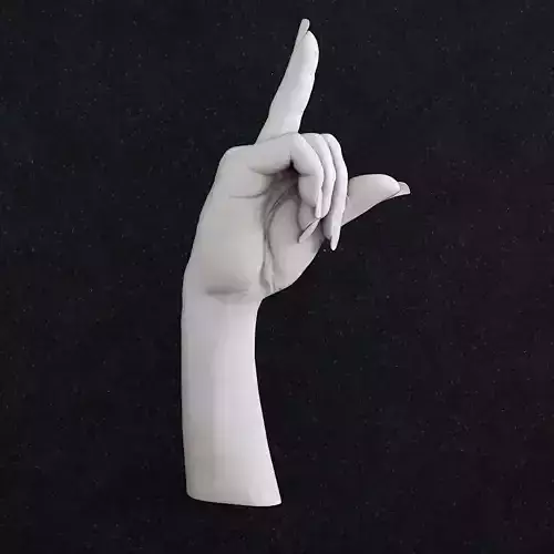 Hand Finger 3D print model