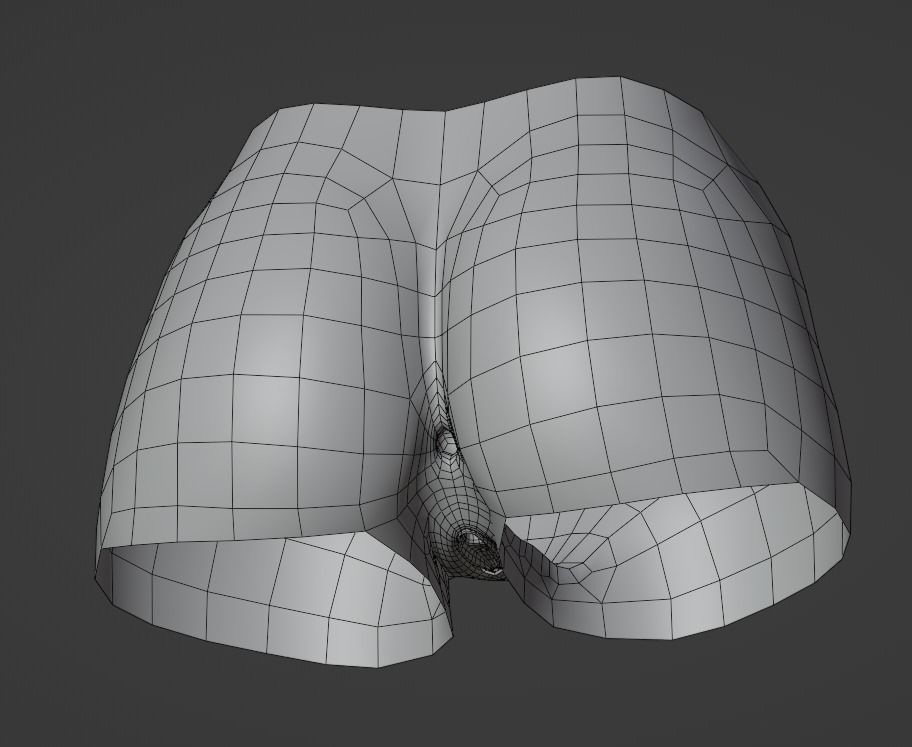 Woman pelvis Low-poly 3D model_5