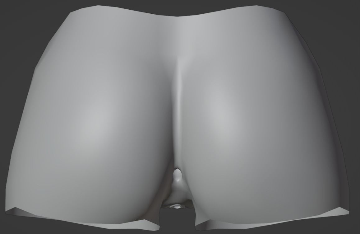 Woman pelvis Low-poly 3D model_2