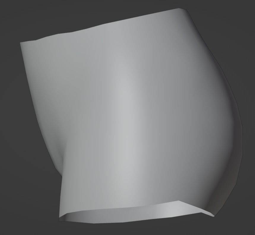 Woman pelvis Low-poly 3D model_1