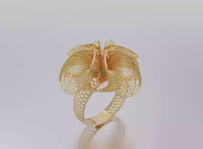 woman ring