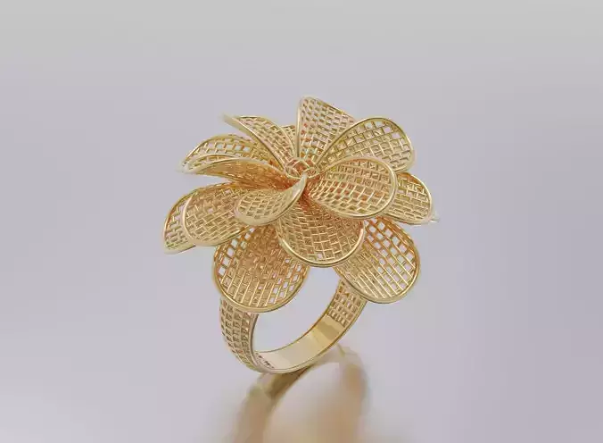 woman ring