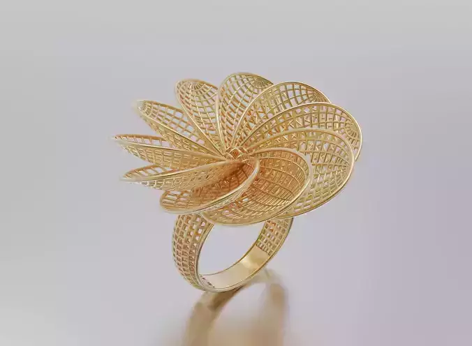 woman ring