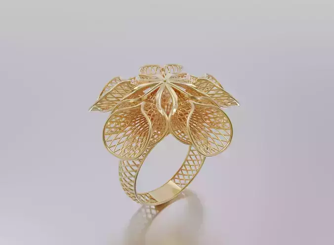 woman ring