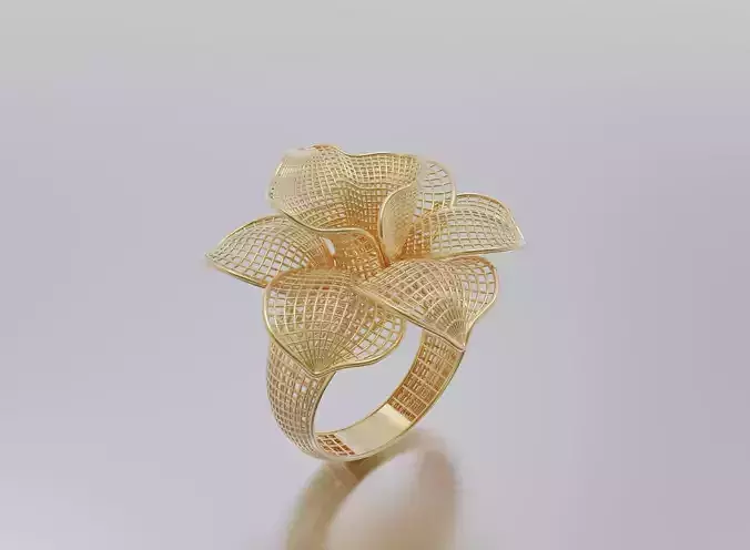 woman ring