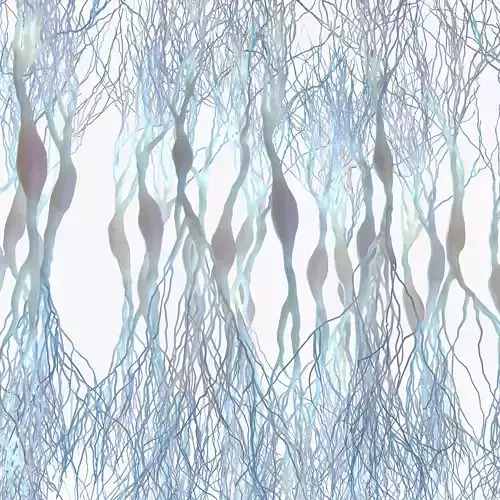 Pyramidal Neurons Low-poly 3D model